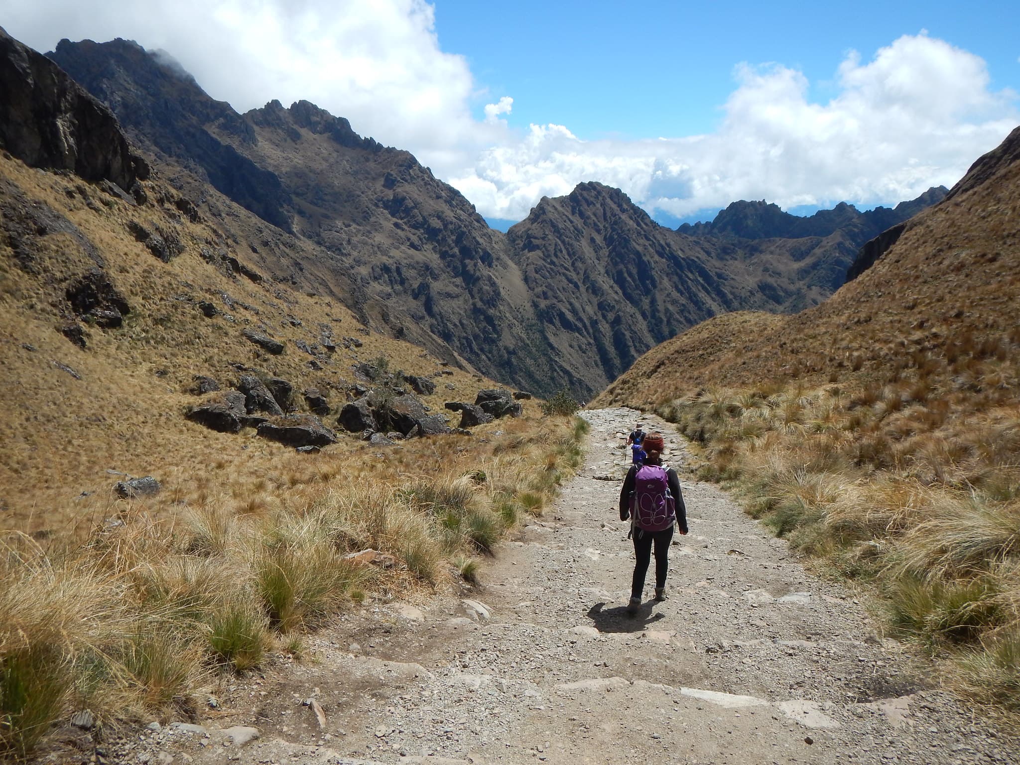 Best Treks to Machu Picchu