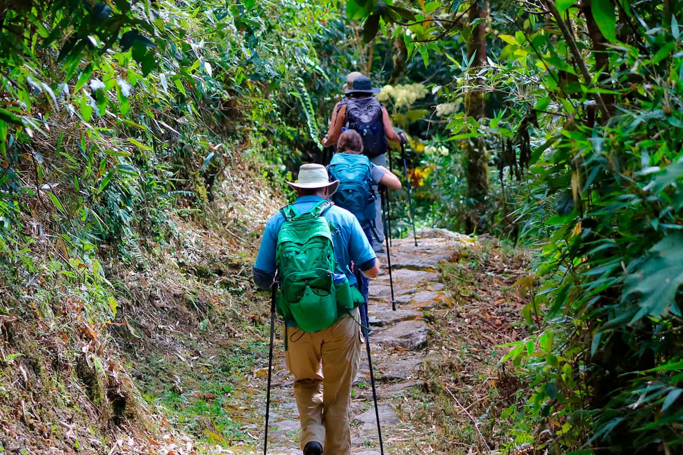 Inca trail
