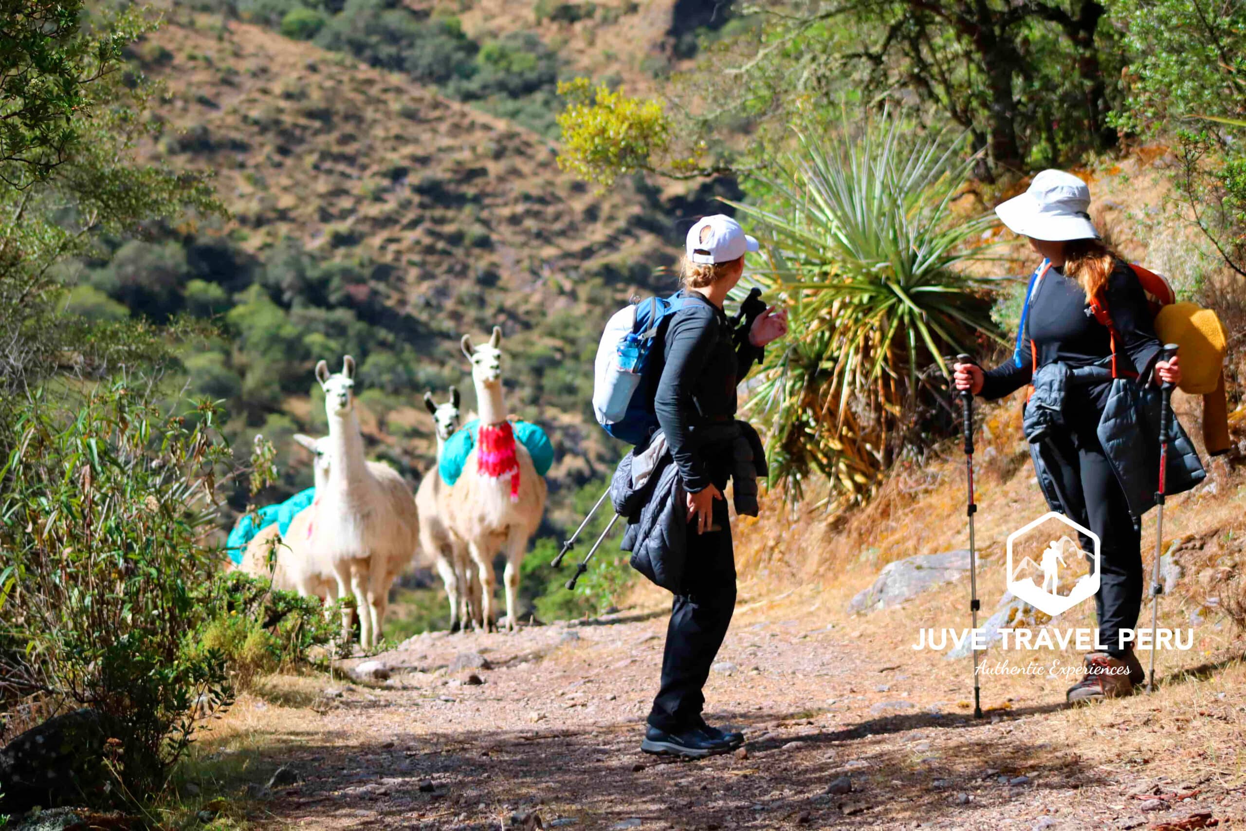 Trekking with Llamas: Lares + 1-Day Inca Trail to Machu Picchu (4 Days)